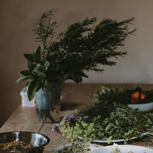 annie-spratt-PtDXMYgy418-unsplash annie-spratt-PtDXMYgy418-unsplash